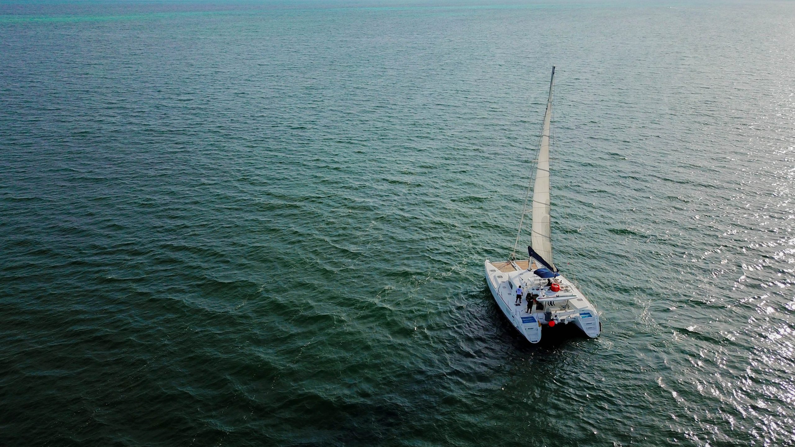 Lagoon 440 Quidam - Platino